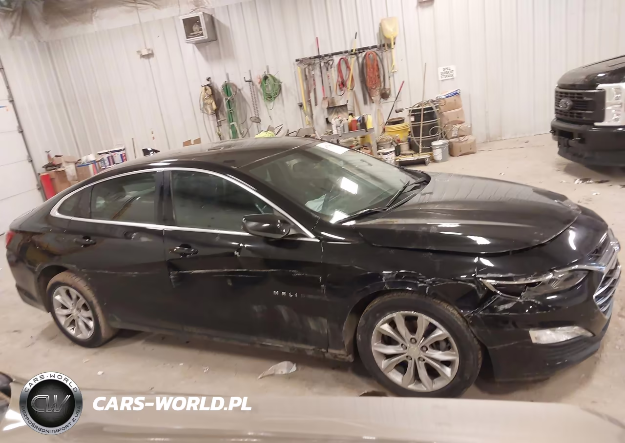 2019 Chevrolet Malibu Lt VIN:1G1ZD5ST8KF116104 - 13