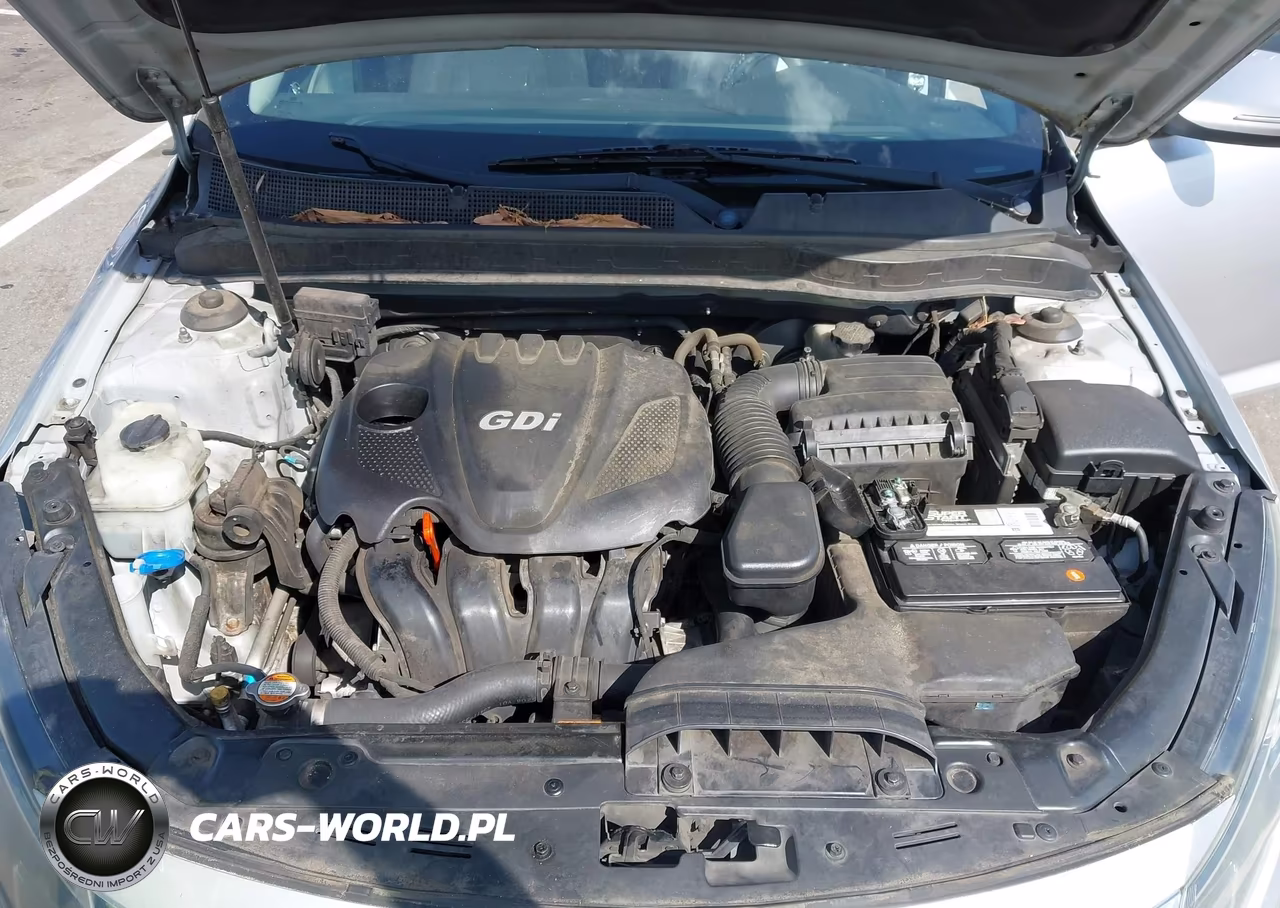 2011 Kia Optima Ex VIN:KNAGN4A75B5103744 - 10