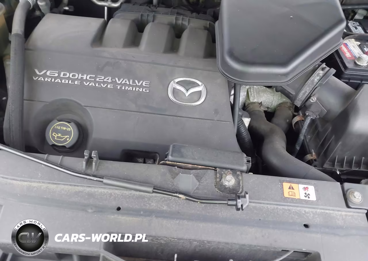 2008 Mazda Cx-9 Sport VIN:JM3TB28V980125911 - 10