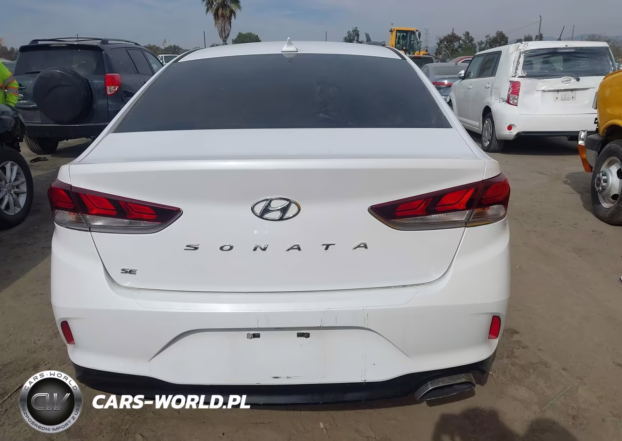 2019 Hyundai Sonata Se VIN:5NPE24AF1KH750779 - 16