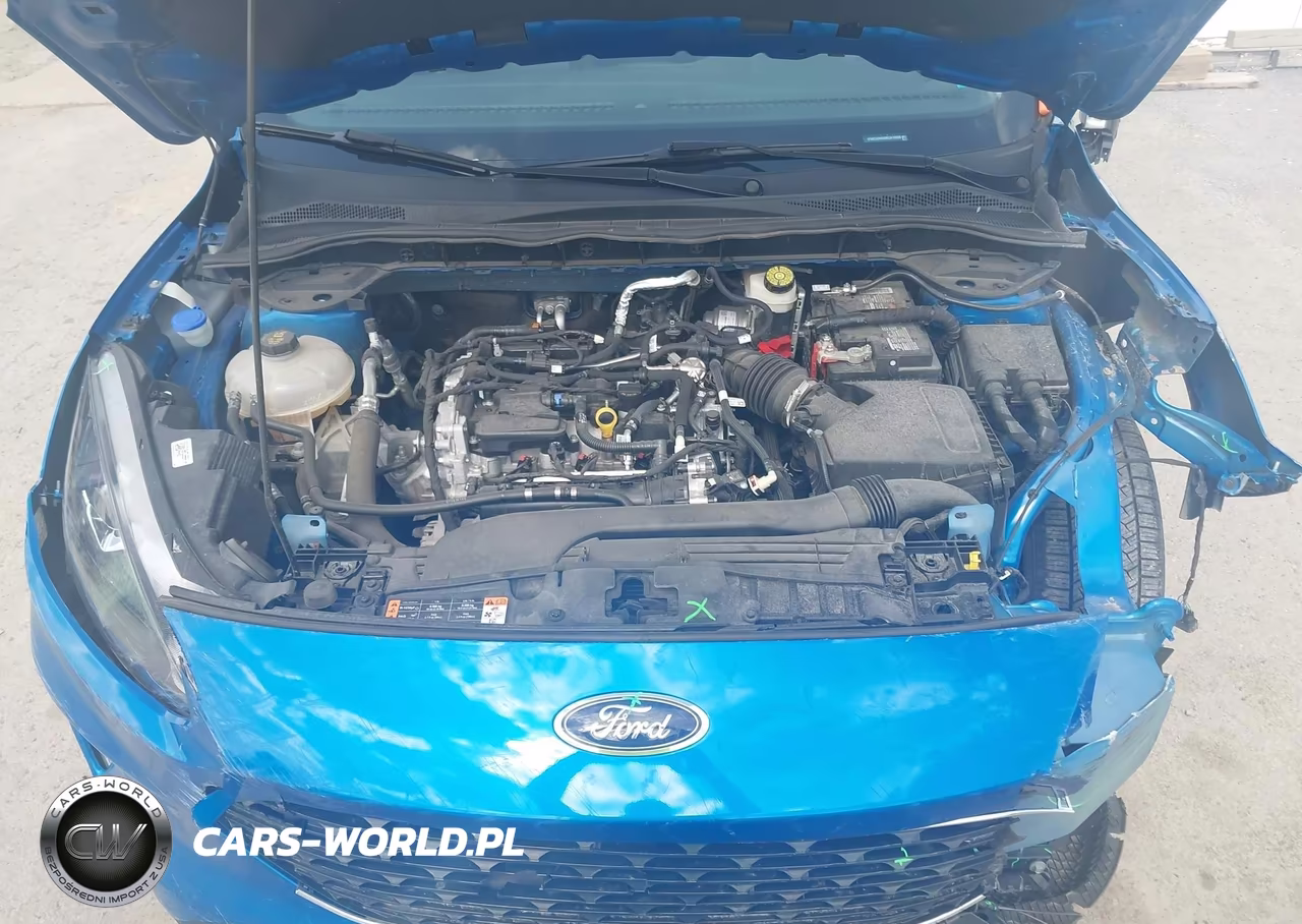 2021 Ford Escape Sel VIN:1FMCU9H60MUA10388 - 10