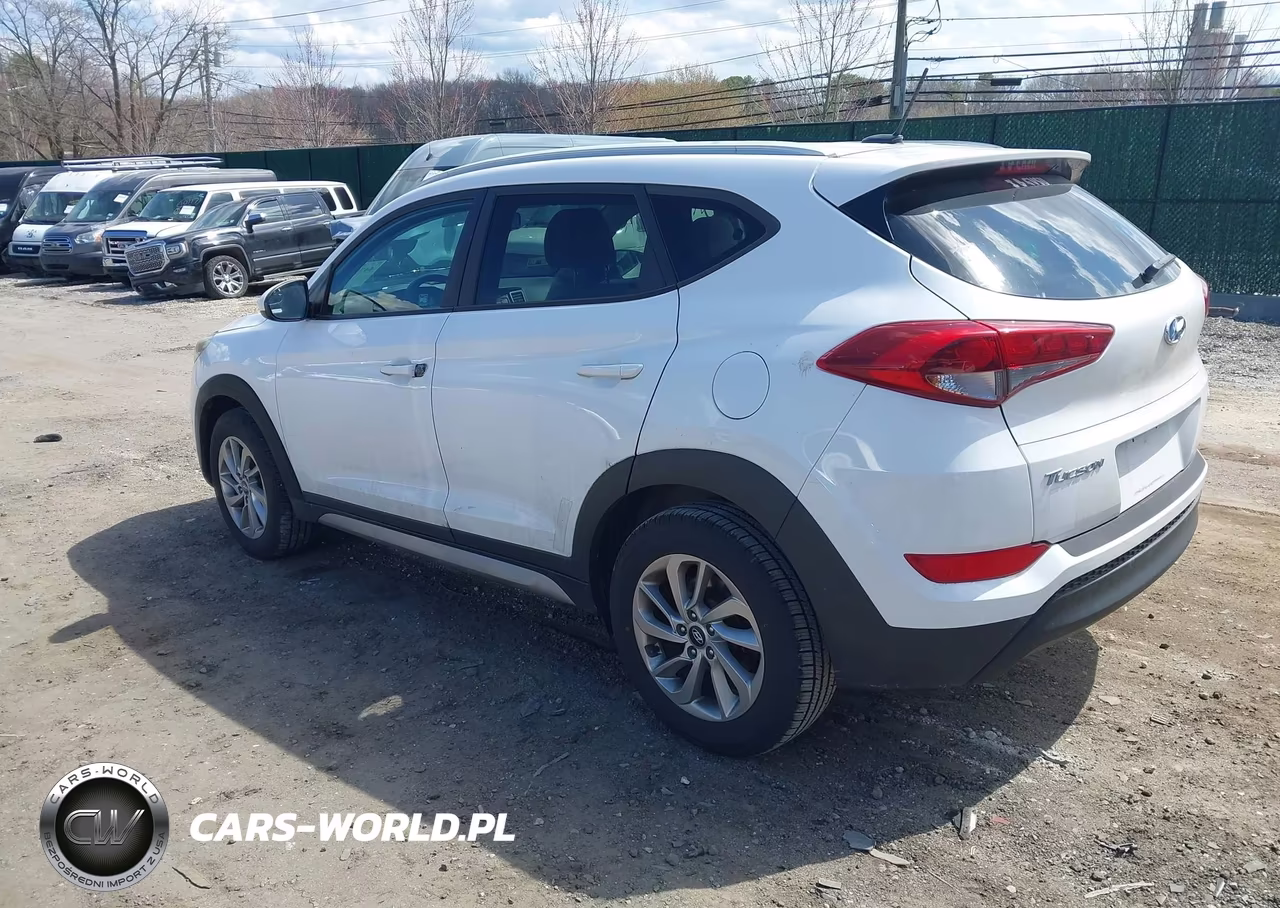 2017 Hyundai Tucson Se VIN:KM8J3CA47HU347954 - 3