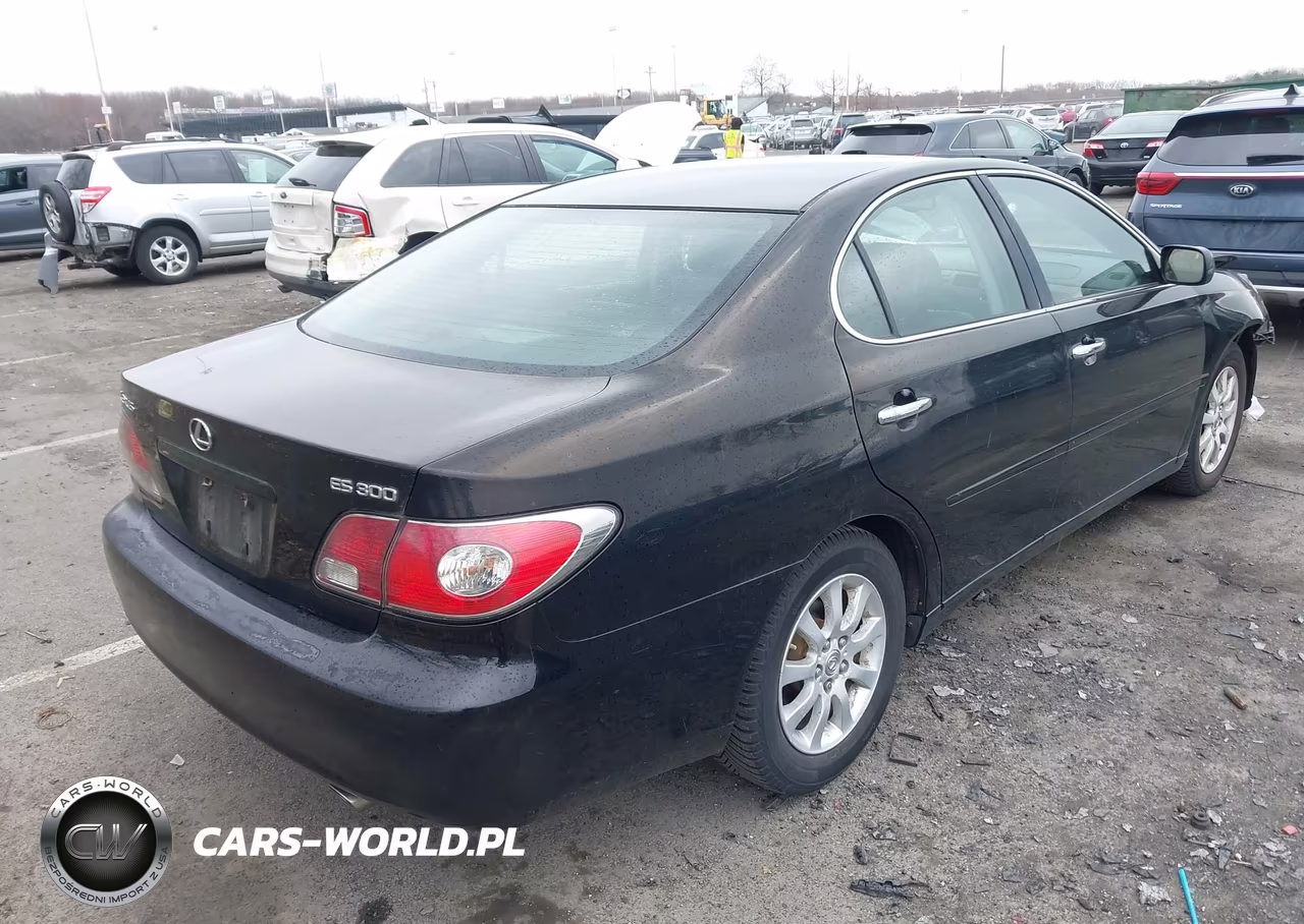 2003 Lexus Es 300 VIN:JTHBF30G330129634 - 4