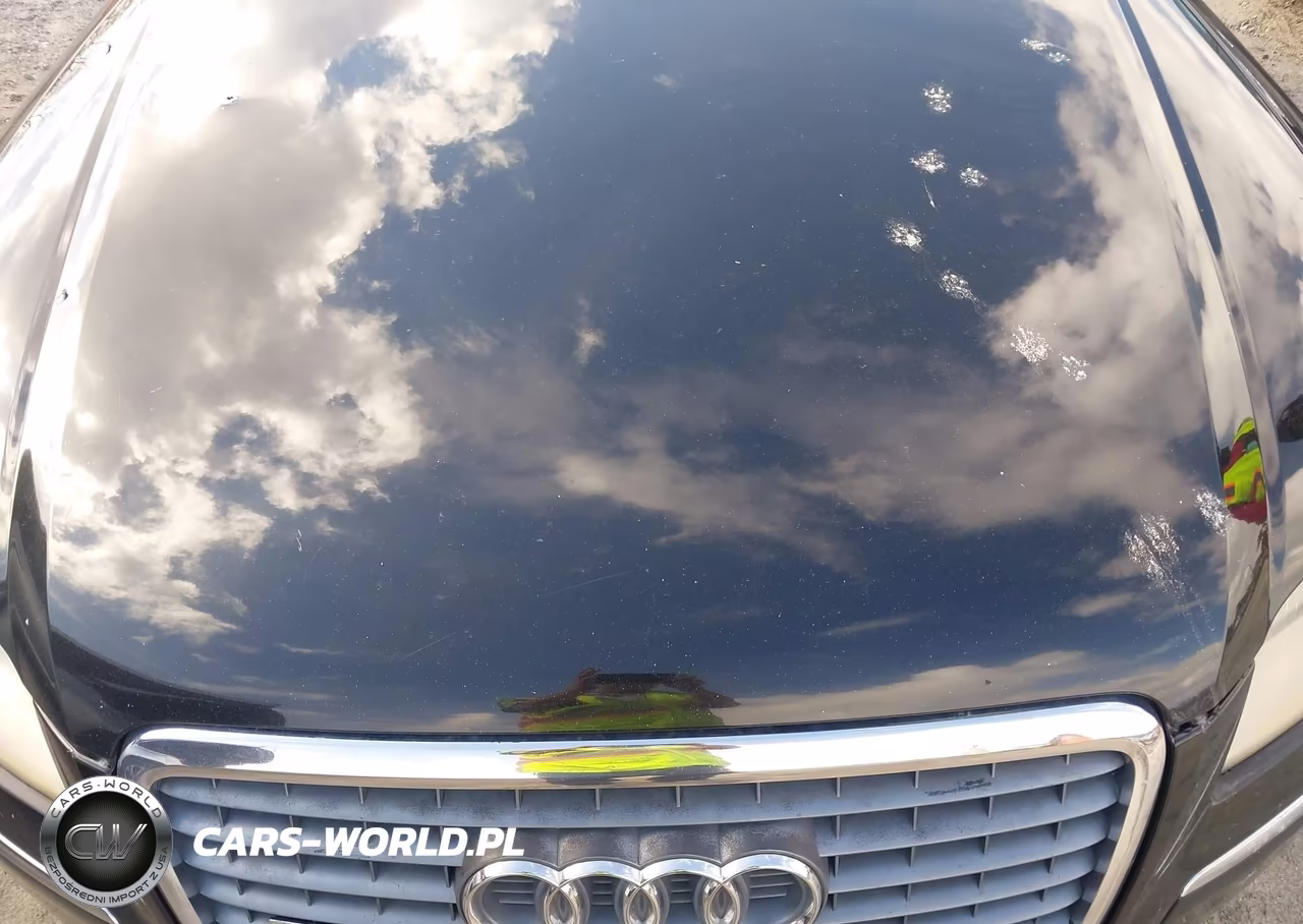 2006 Audi A8 4.2 VIN:WAULL44E66N008677 - 10