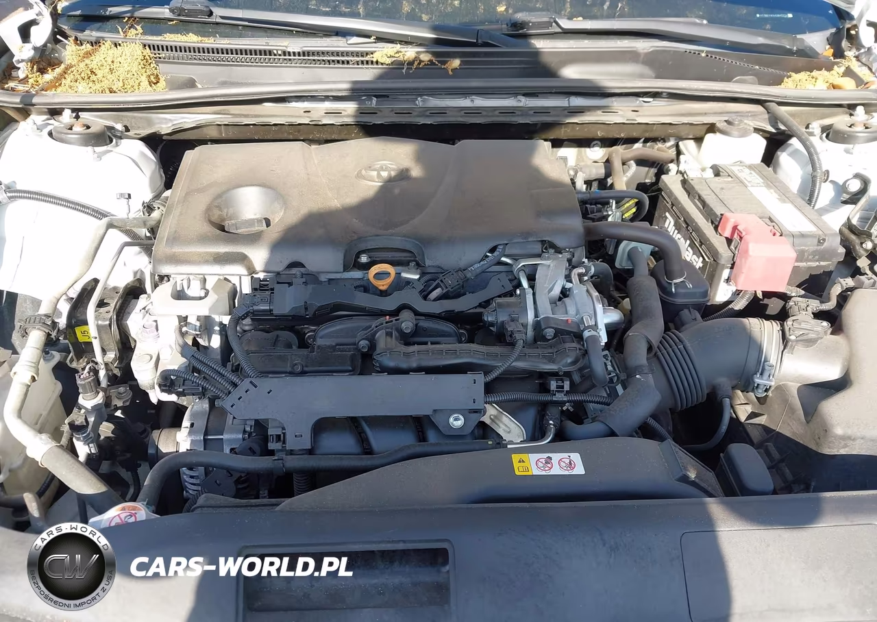 2019 Toyota Camry Xse VIN:4T1B61HK4KU845234 - 10