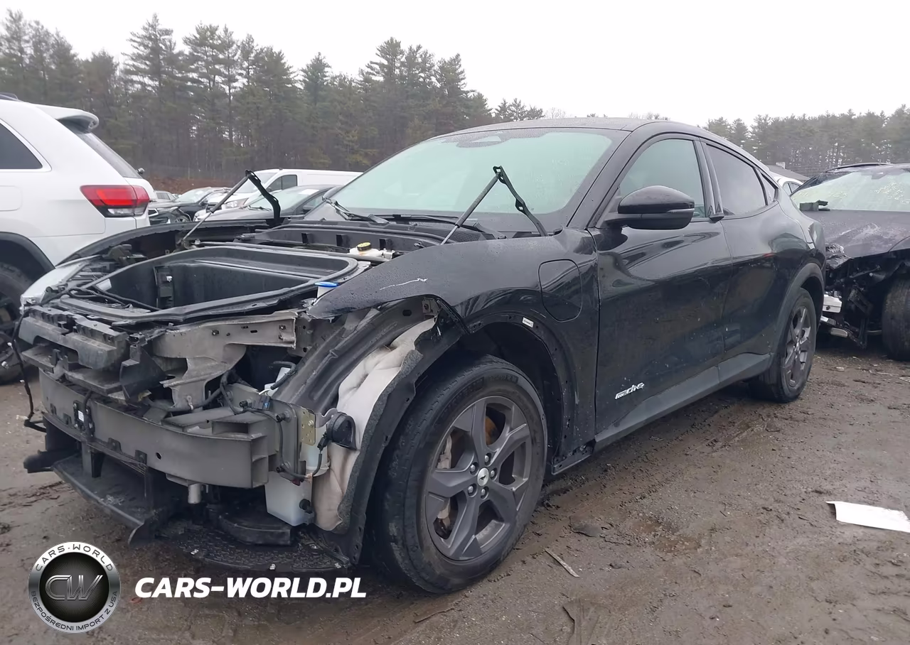 2021 Ford Mustang Mach-E Select VIN:3FMTK1SS6MMA65963 - 2