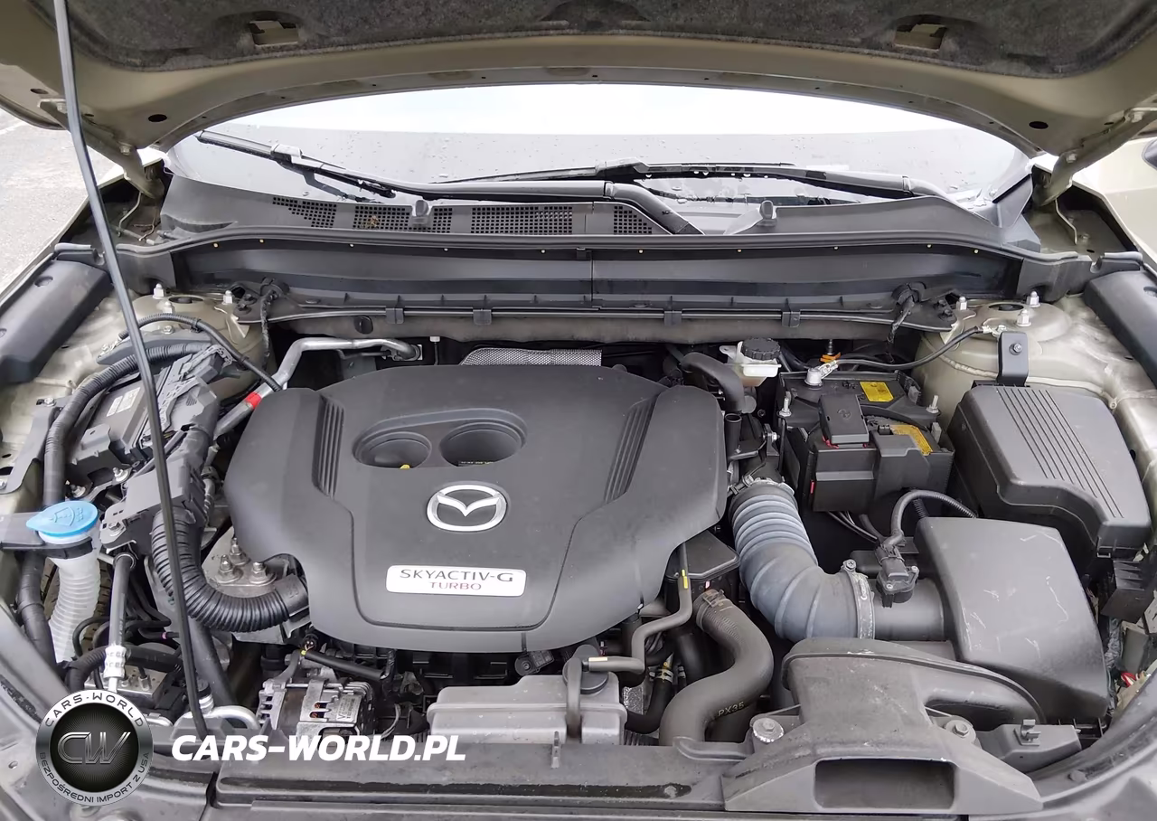 2024 Mazda Cx-5 2.5 Carbon Turbo VIN:JM3KFBAY0R0370814 - 10