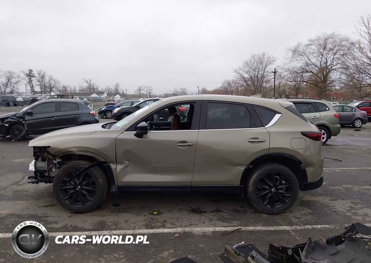 2024 Mazda Cx-5 2.5 Carbon Turbo VIN:JM3KFBAY0R0370814 - 14