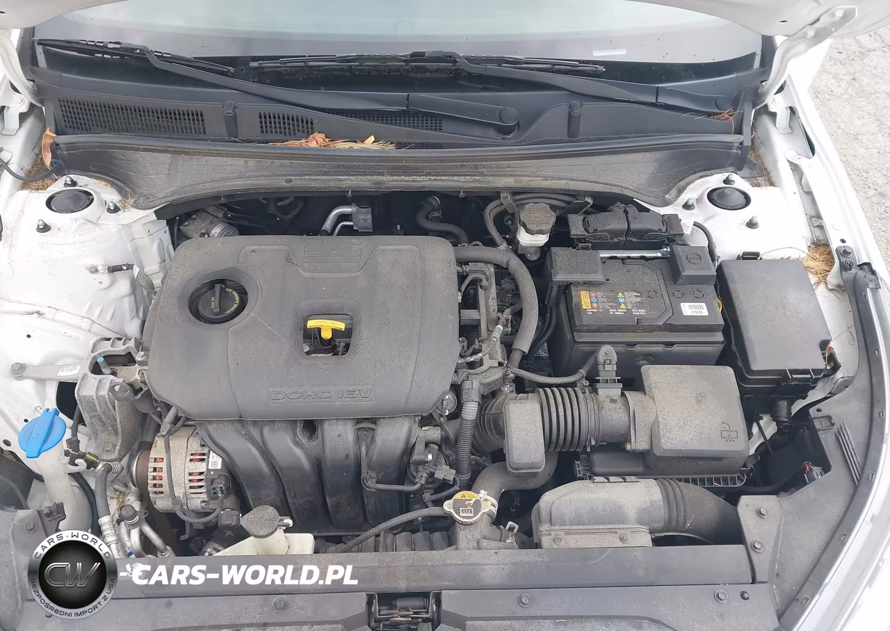 2020 Kia Forte Lxs VIN:3KPF24ADXLE224174 - 10