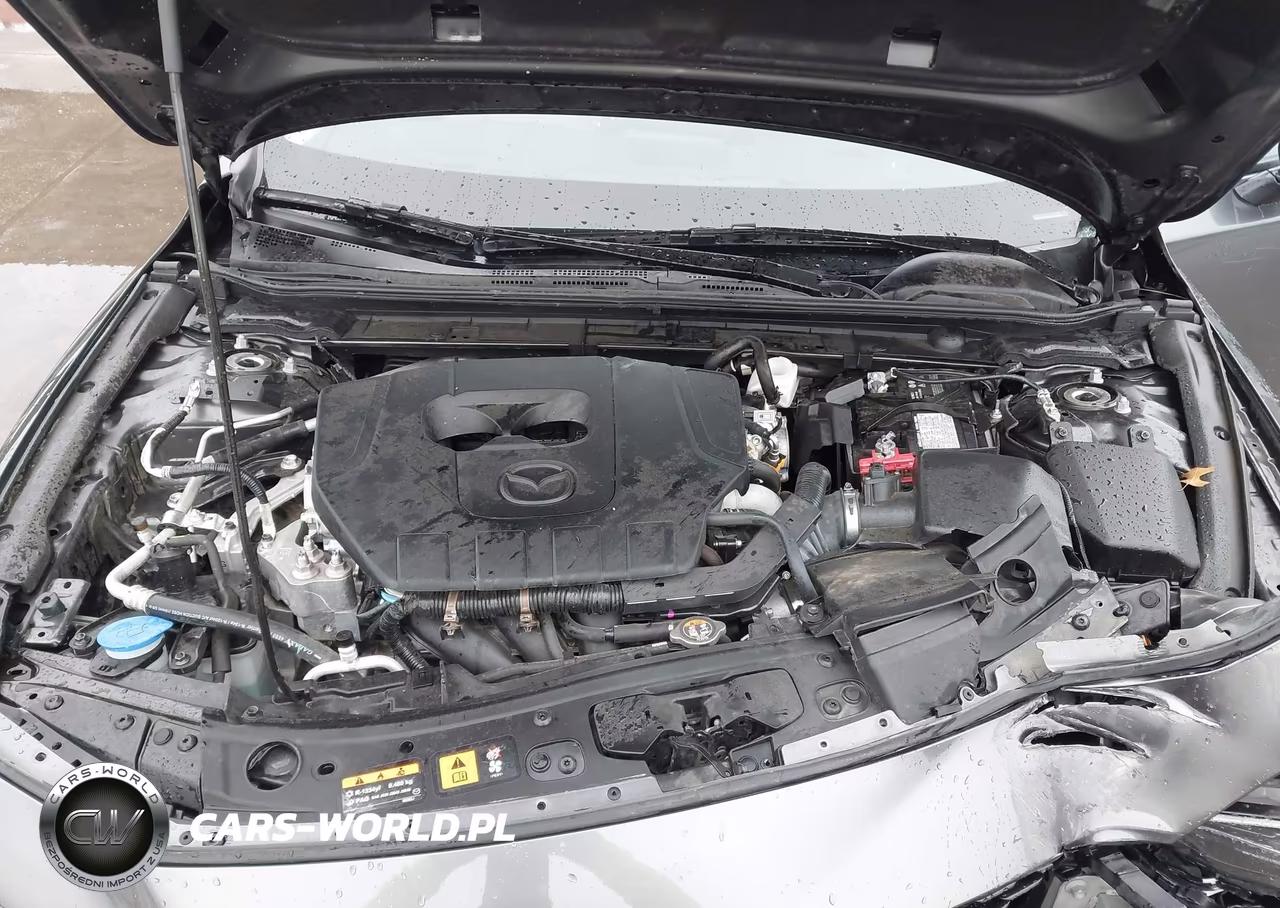 2025 Mazda Mazda3 2.5 S Preferred VIN:3MZBPACM2SM454496 - 10