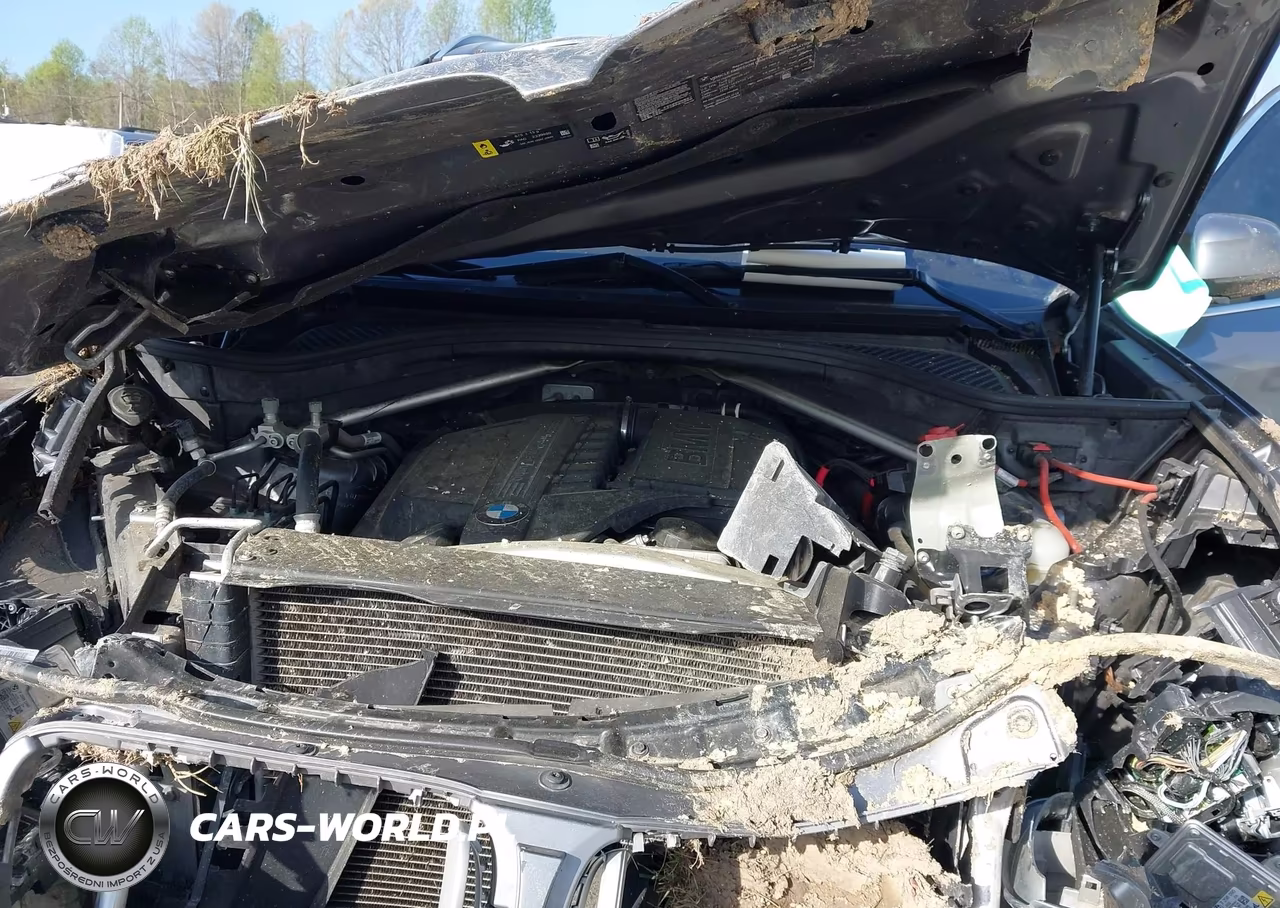 2018 BMW X5 xDrive35I VIN:5UXKR0C54JL073781 - 10