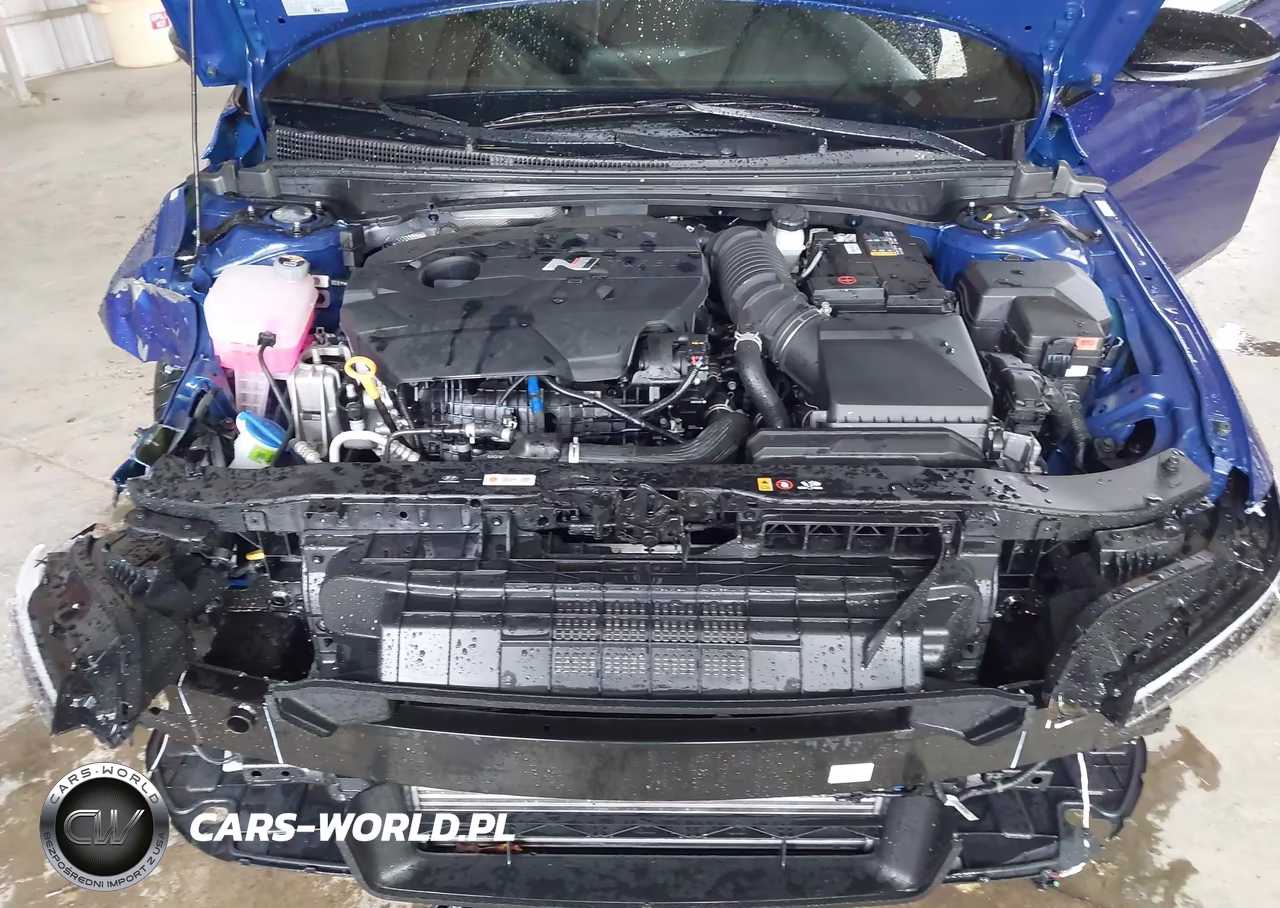 2025 Hyundai Elantra N VIN:KMHLW4DK5SU036028 - 10