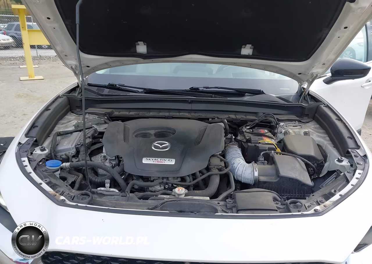 2021 Mazda Cx-30 2.5 Turbo Premium Plus VIN:3MVDMBEY3MM231671 - 10