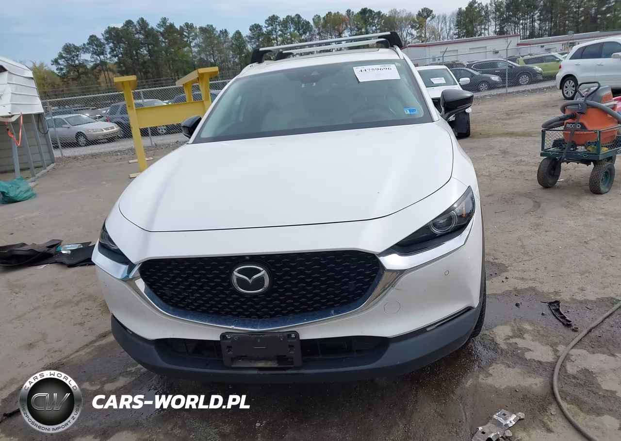 2021 Mazda Cx-30 2.5 Turbo Premium Plus VIN:3MVDMBEY3MM231671 - 12