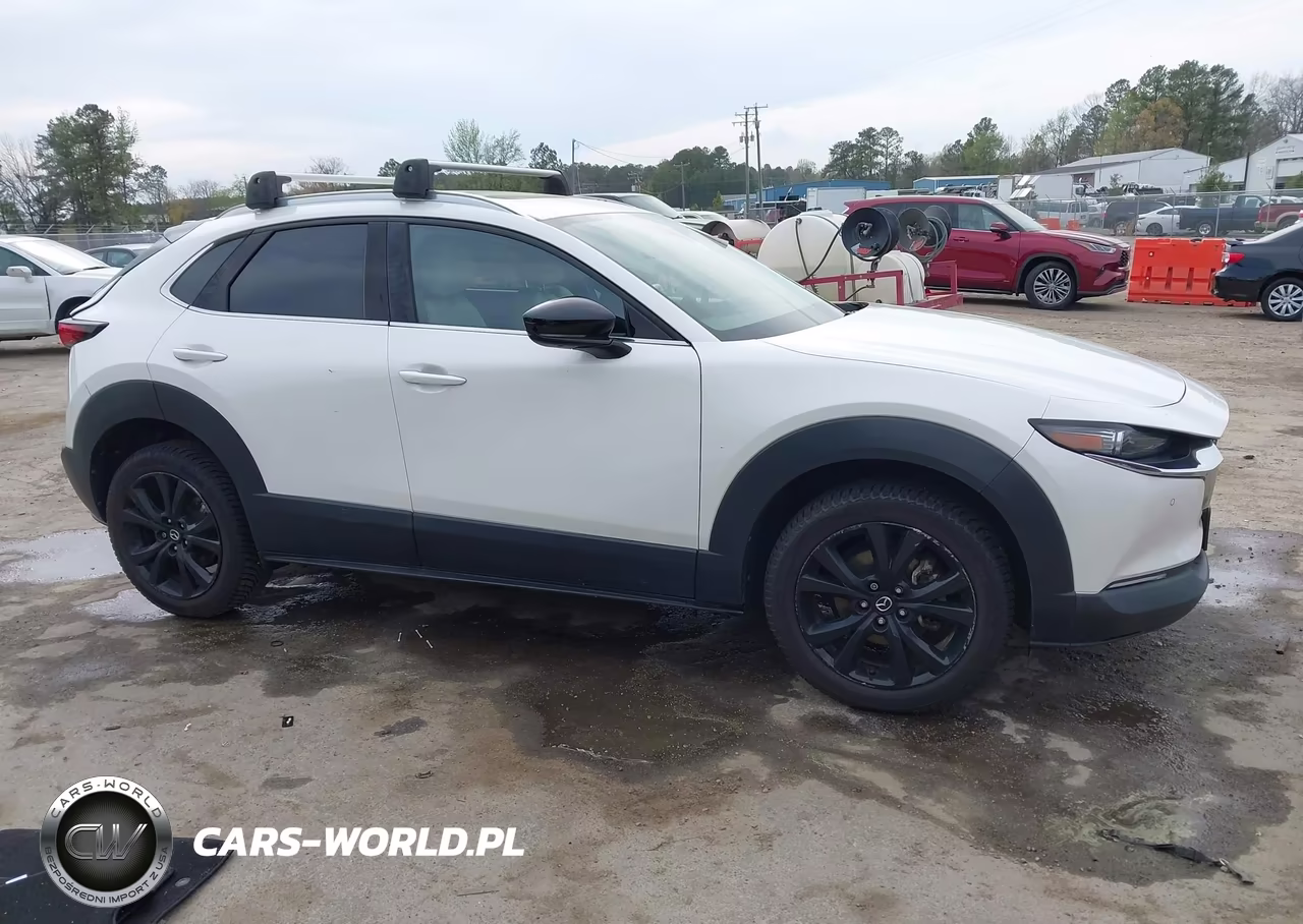 2021 Mazda Cx-30 2.5 Turbo Premium Plus VIN:3MVDMBEY3MM231671 - 13