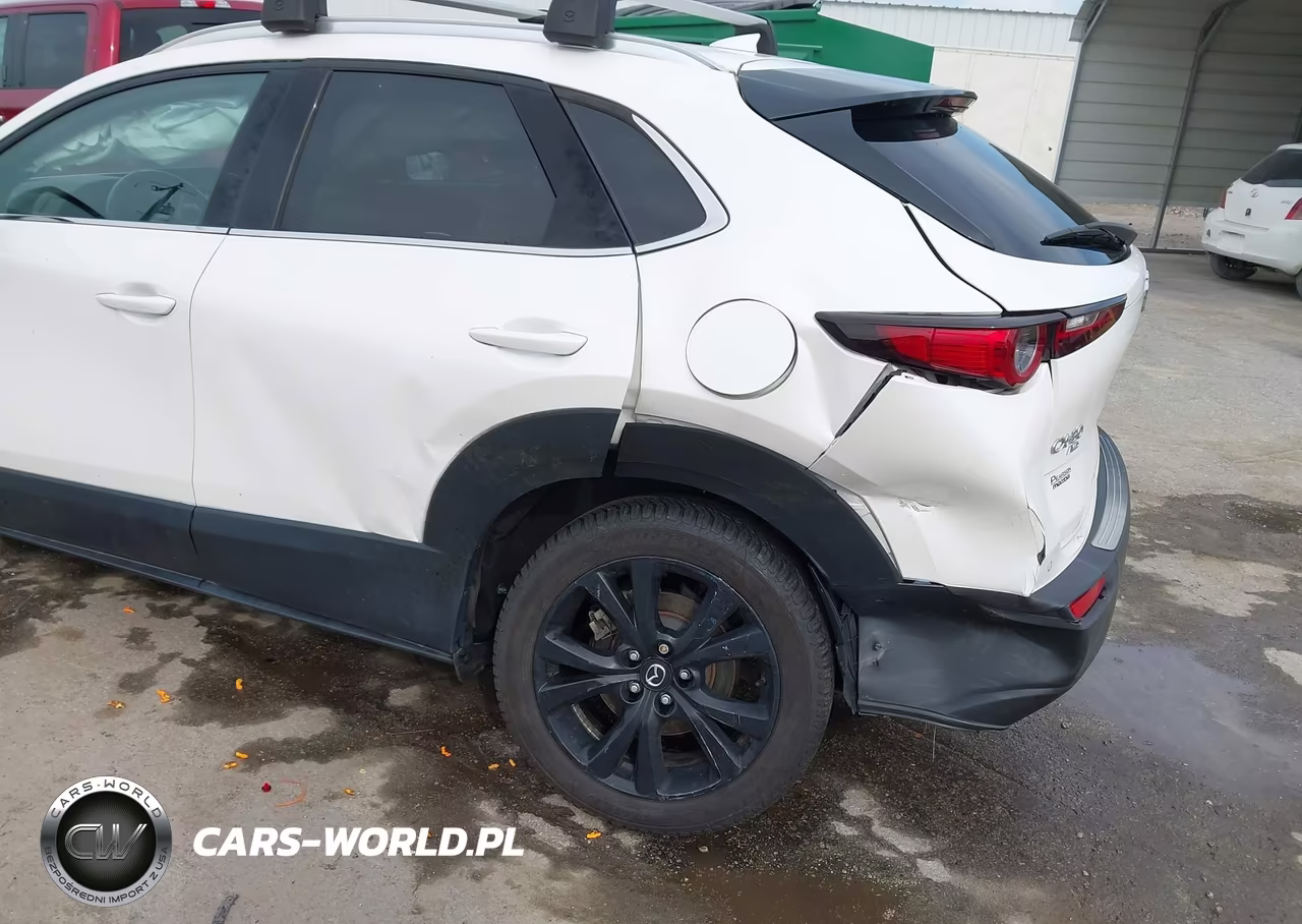 2021 Mazda Cx-30 2.5 Turbo Premium Plus VIN:3MVDMBEY3MM231671 - 6