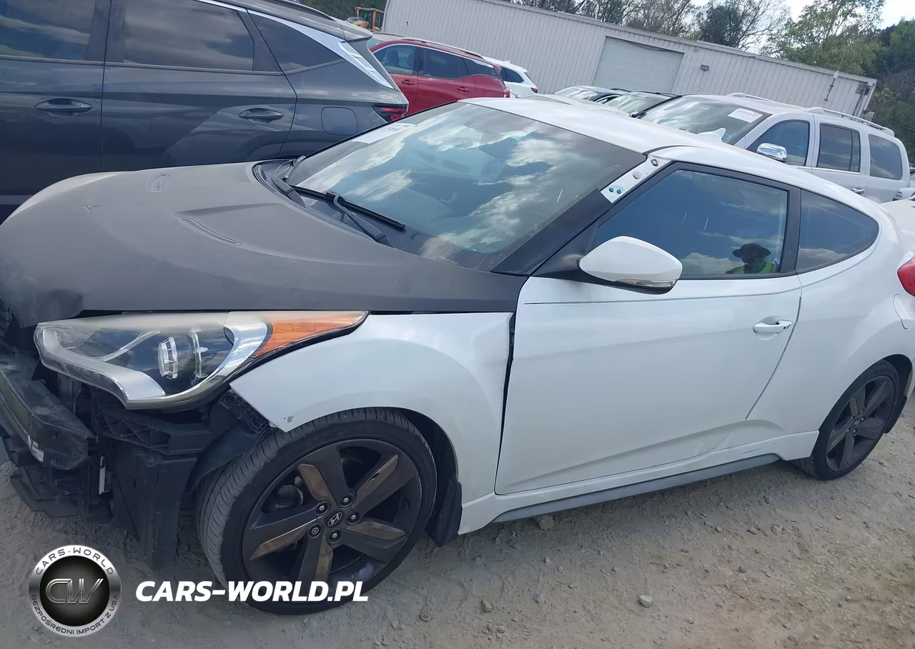 2015 Hyundai Veloster Turbo VIN:KMHTC6AE3FU233160 - 15