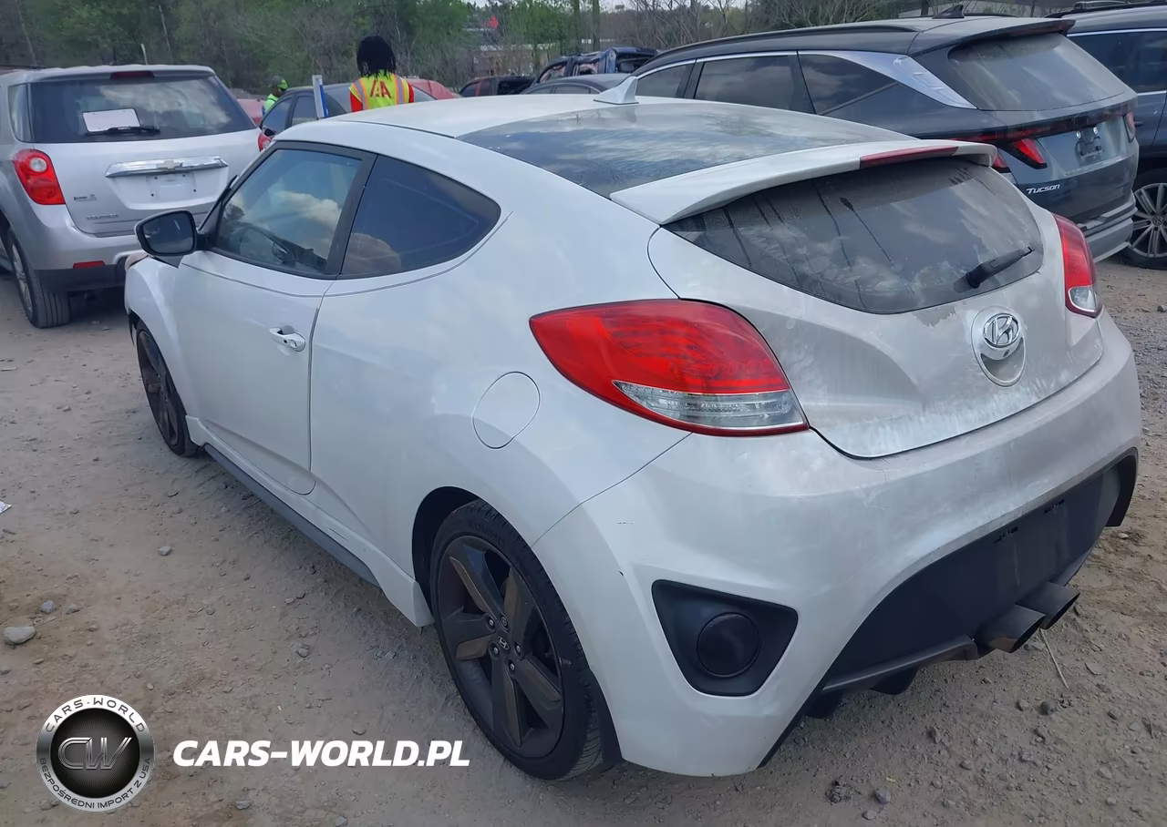 2015 Hyundai Veloster Turbo VIN:KMHTC6AE3FU233160 - 3