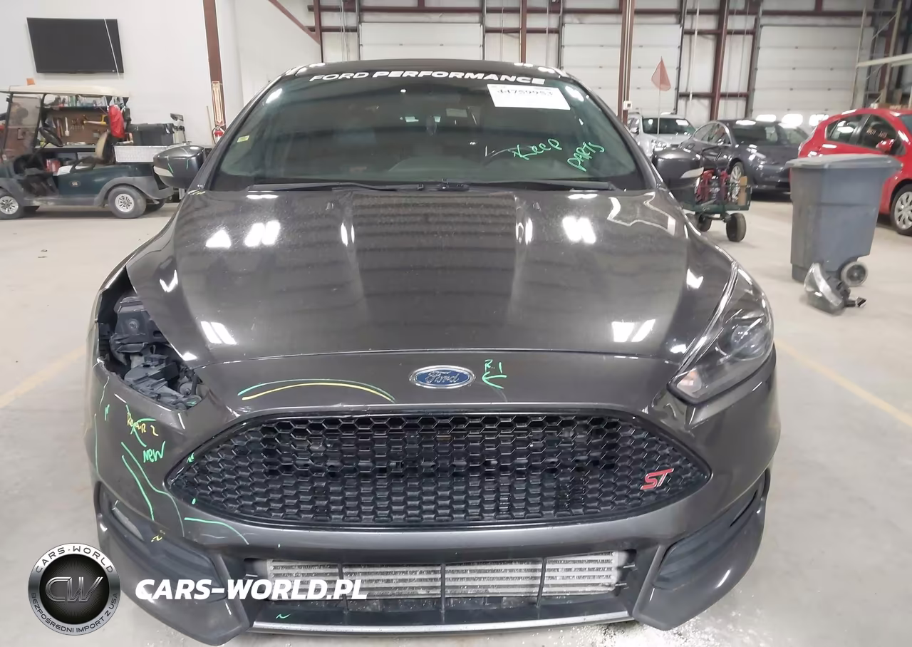 2018 Ford Focus St VIN:1FADP3L94JL282397 - 12