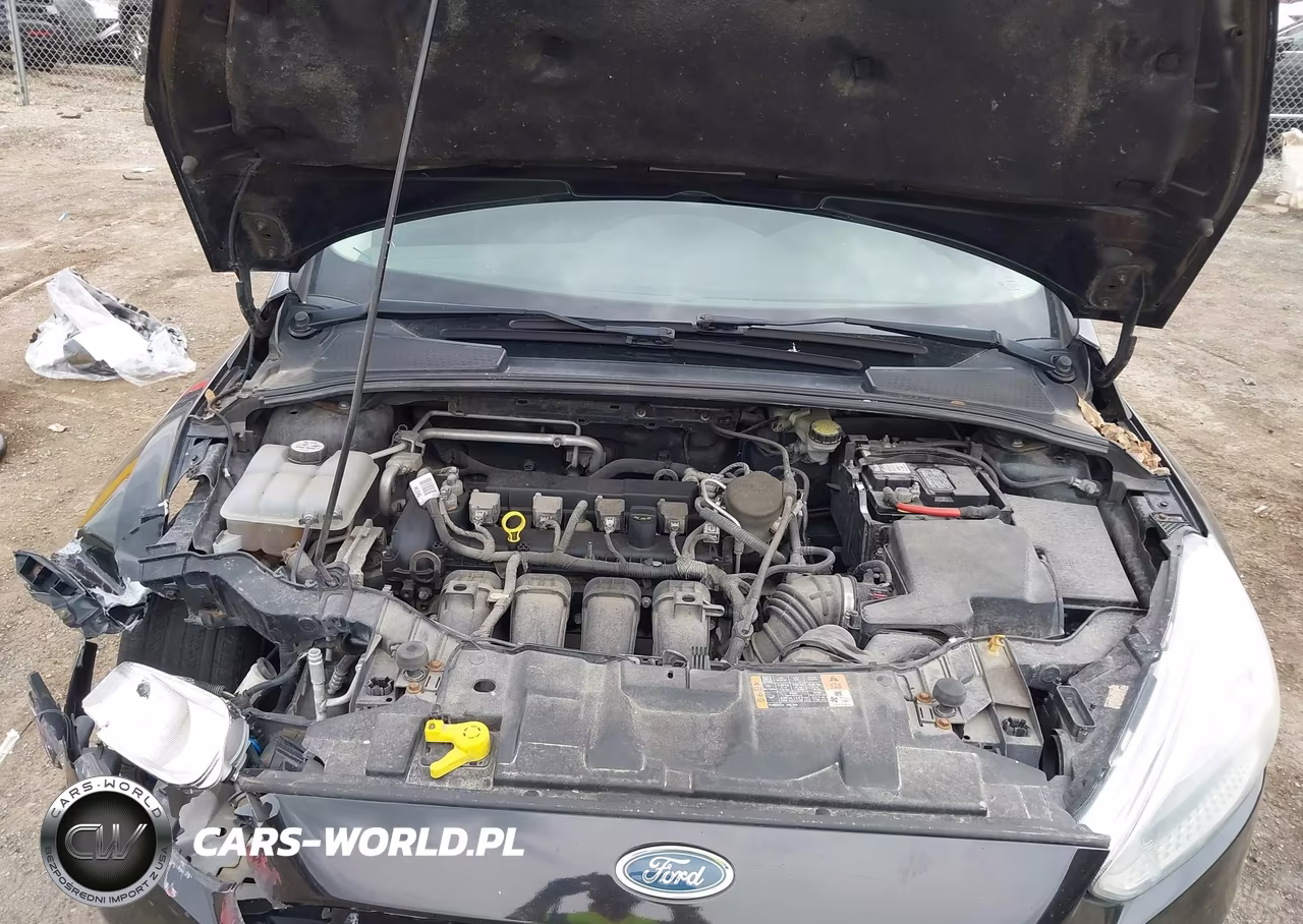 2015 Ford Focus Se VIN:1FADP3F20FL370336 - 10