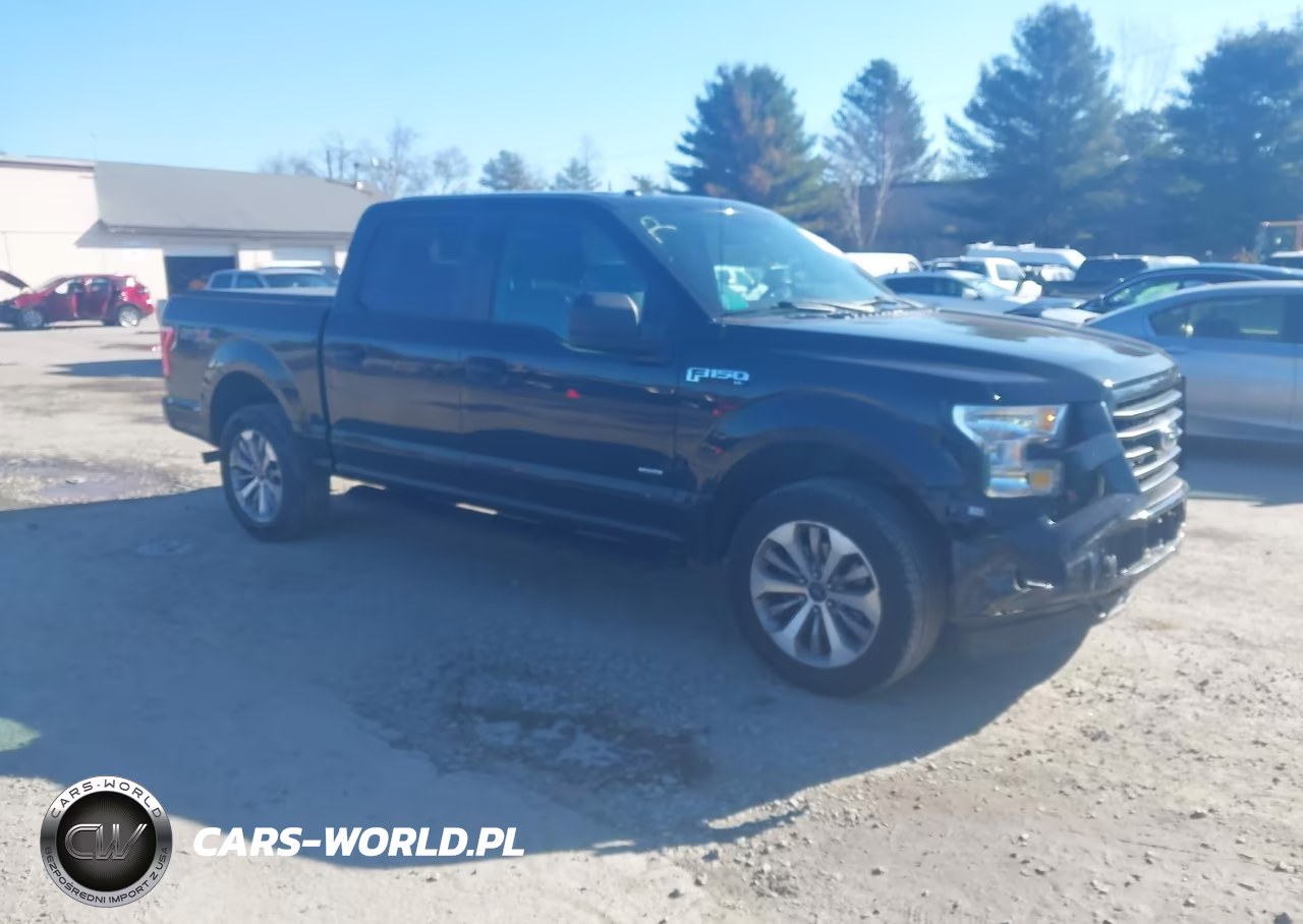 2017 Ford F-150 Xl – zdjęcie 1 z 16