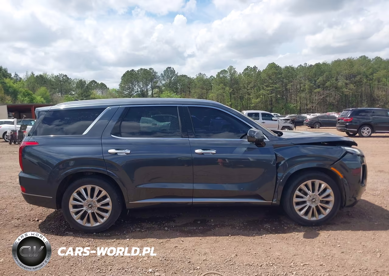 2020 Hyundai Palisade Limited VIN:KM8R54HE7LU049270 - 13