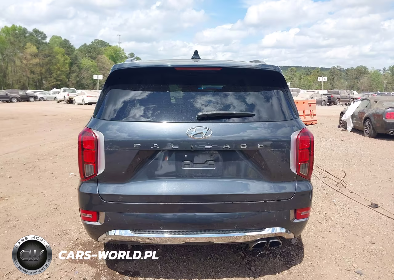 2020 Hyundai Palisade Limited VIN:KM8R54HE7LU049270 - 16