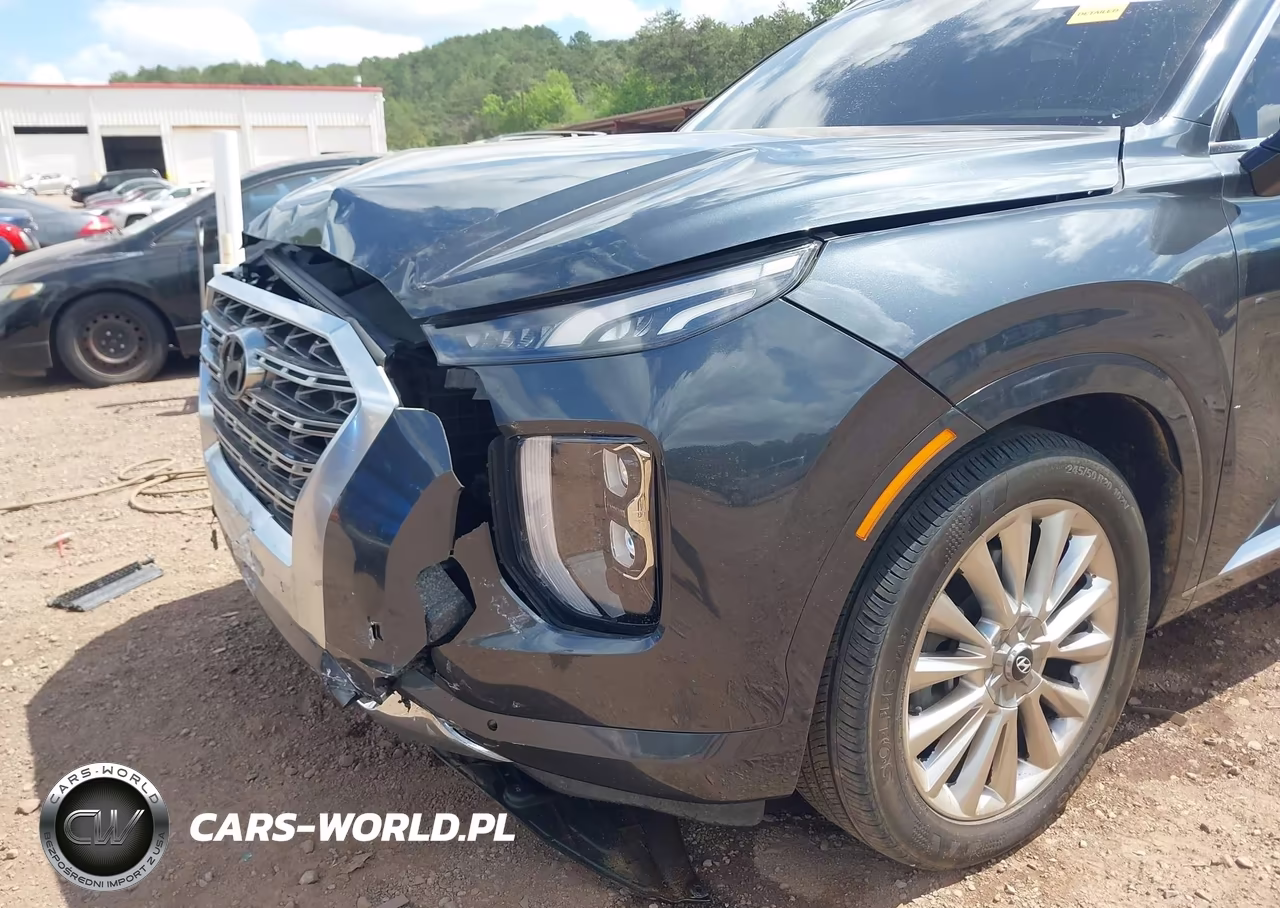 2020 Hyundai Palisade Limited VIN:KM8R54HE7LU049270 - 6