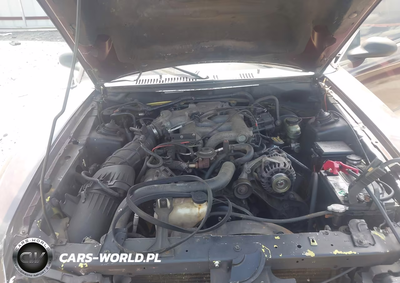 2003 Ford Mustang VIN:1FAFP44413F396229 - 10