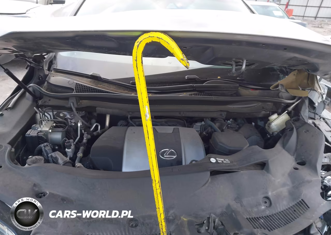 2017 Lexus Rx 350 VIN:2T2ZZMCAXHC089047 - 10