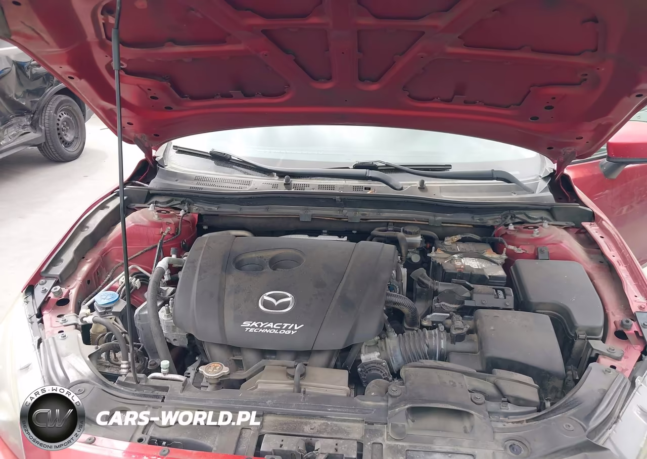 2014 Mazda Mazda3 I Sport VIN:JM1BM1U77E1179617 - 10