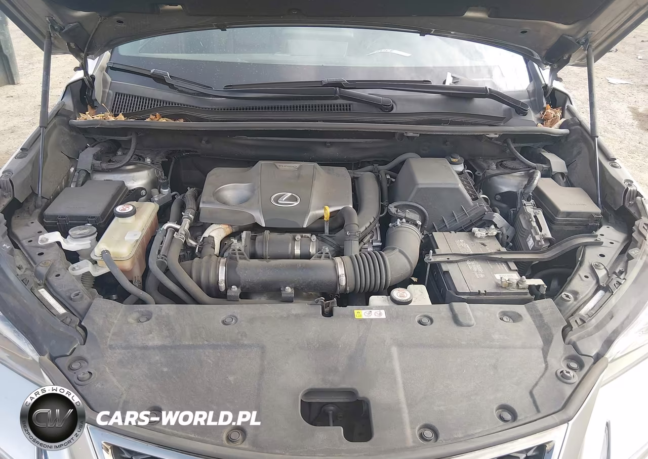 2018 Lexus Nx 300 F Sport VIN:JTJBARBZ5J2166295 - 10