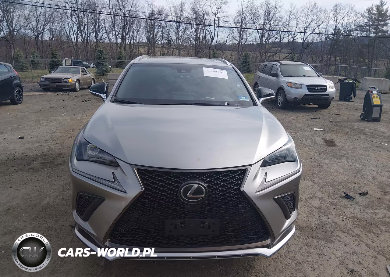 2018 Lexus Nx 300 F Sport VIN:JTJBARBZ5J2166295 - 12