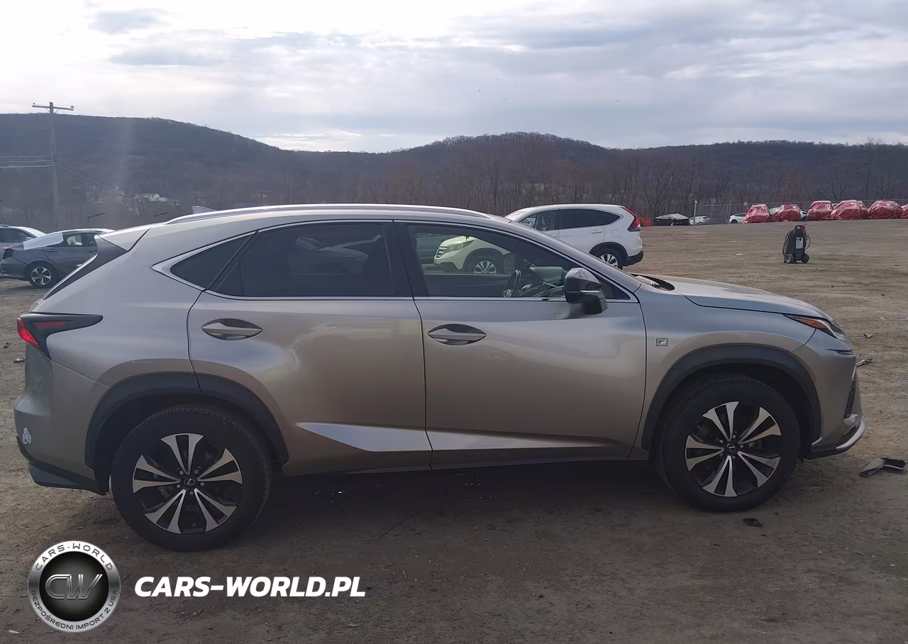 2018 Lexus Nx 300 F Sport VIN:JTJBARBZ5J2166295 - 13