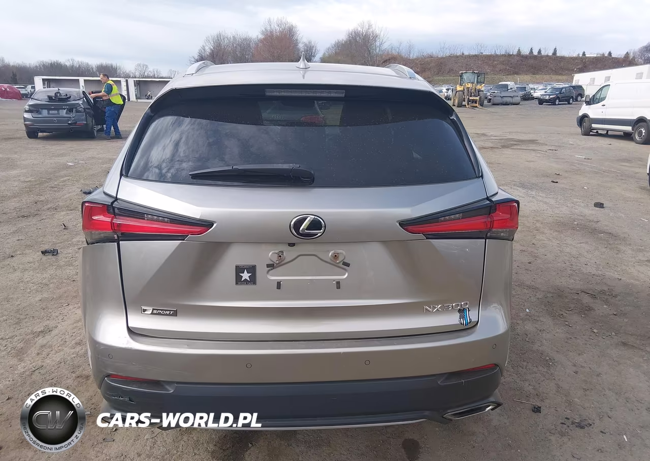 2018 Lexus Nx 300 F Sport VIN:JTJBARBZ5J2166295 - 16