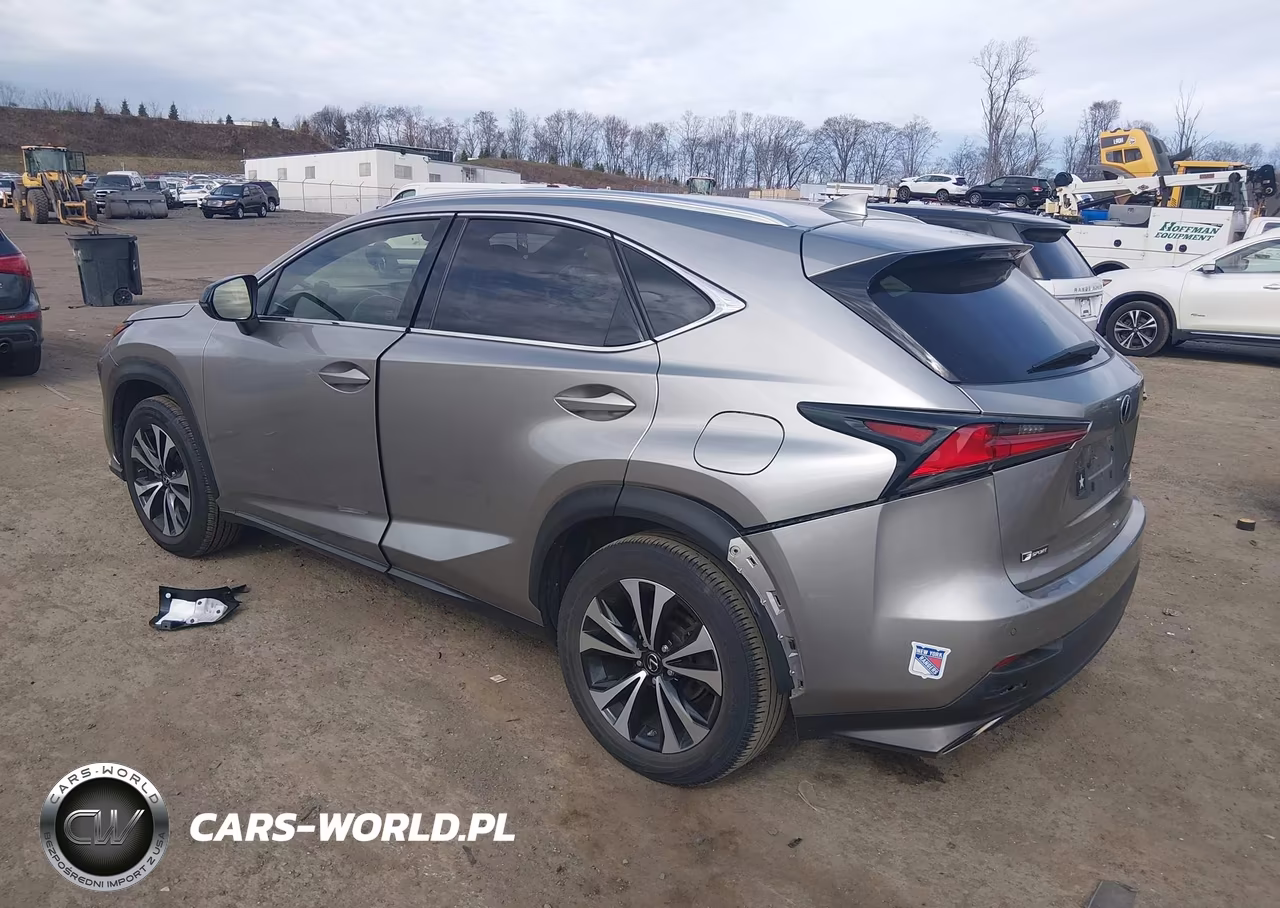 2018 Lexus Nx 300 F Sport VIN:JTJBARBZ5J2166295 - 3