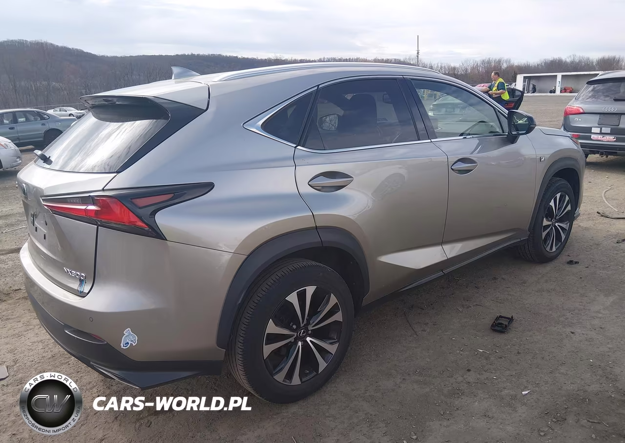 2018 Lexus Nx 300 F Sport VIN:JTJBARBZ5J2166295 - 4