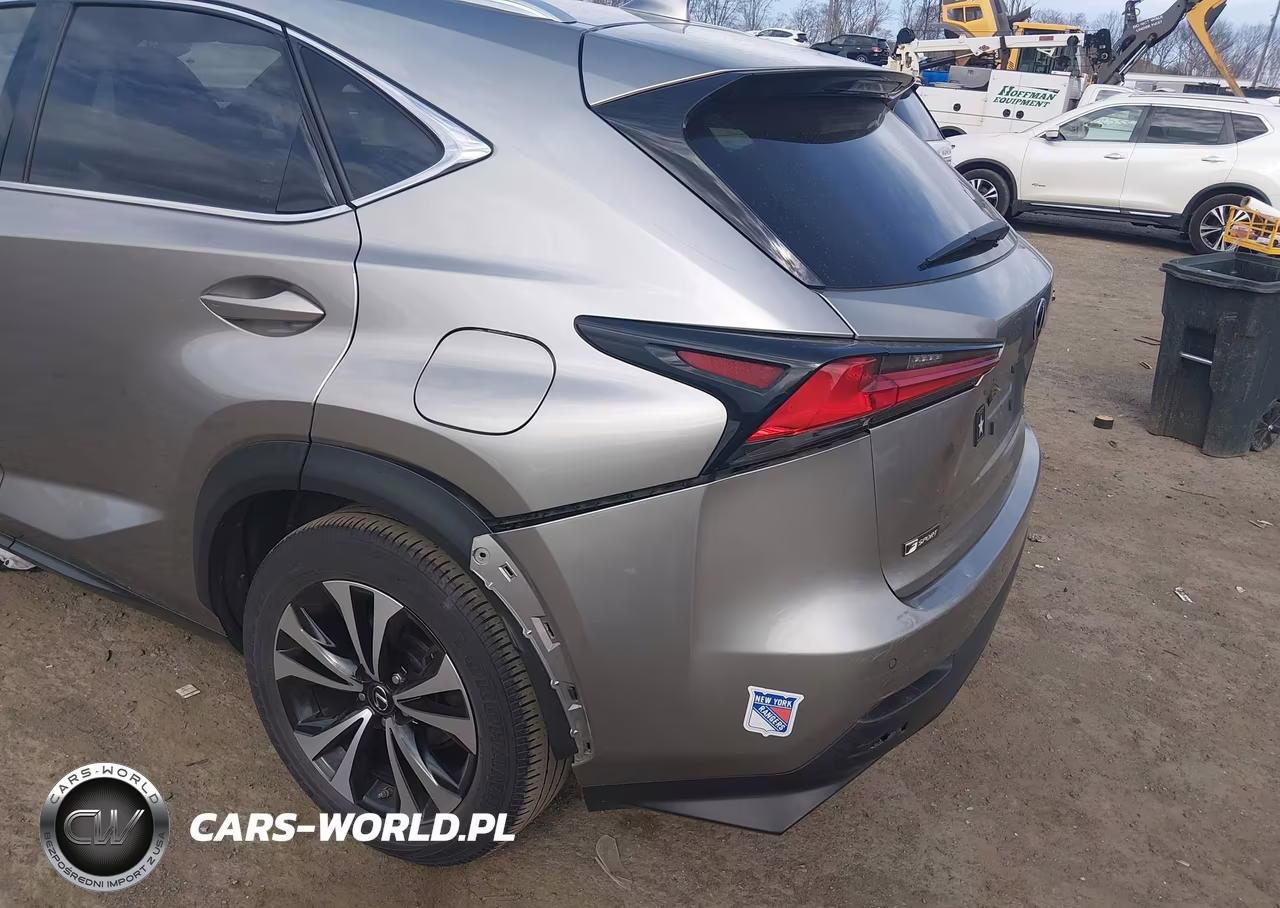 2018 Lexus Nx 300 F Sport VIN:JTJBARBZ5J2166295 - 6