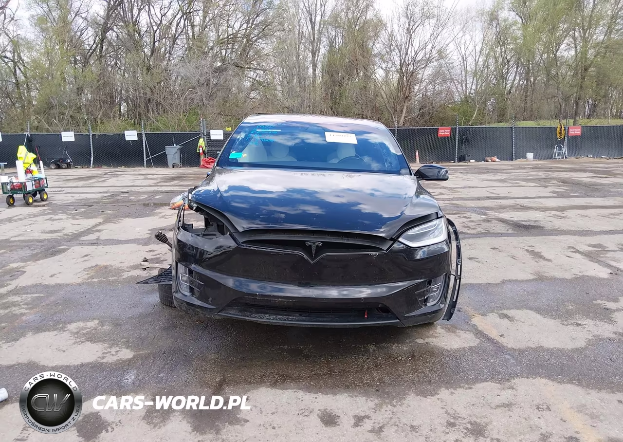 2018 Tesla Model X 100D-75D-P100D VIN:5YJXCBE43JF111335 - 12