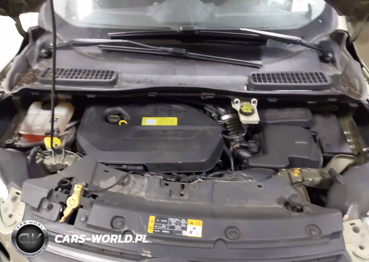 2013 Ford Escape Se VIN:1FMCU9GX7DUB02737 - 10