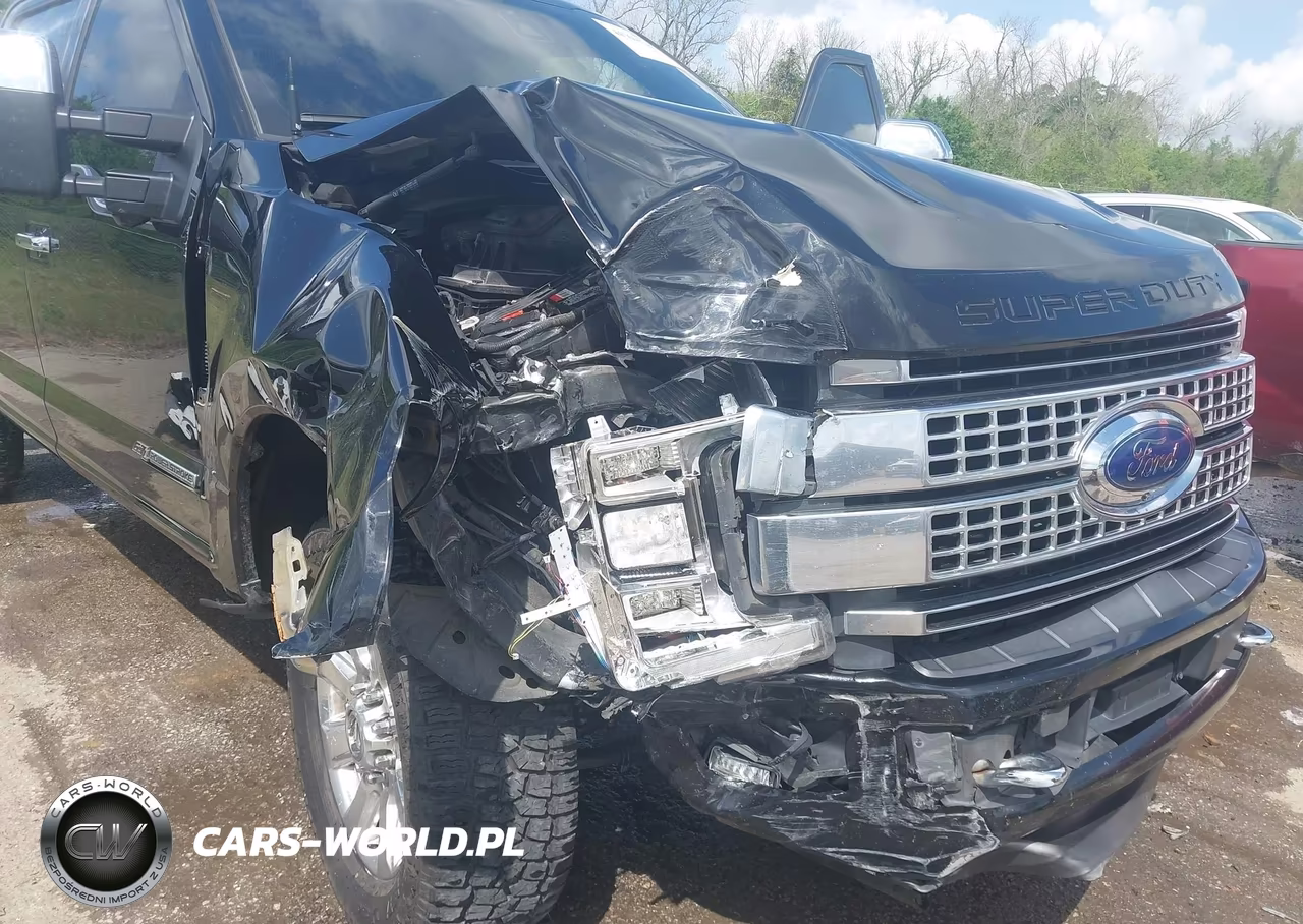 2017 Ford F-250 Platinum VIN:1FT7W2BT4HEE23890 - 11