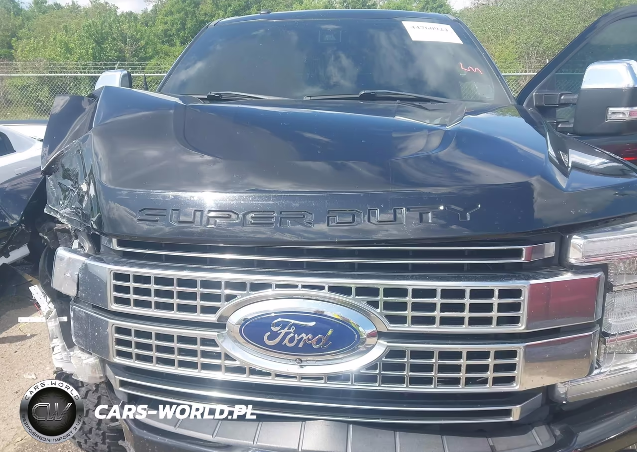 2017 Ford F-250 Platinum VIN:1FT7W2BT4HEE23890 - 9