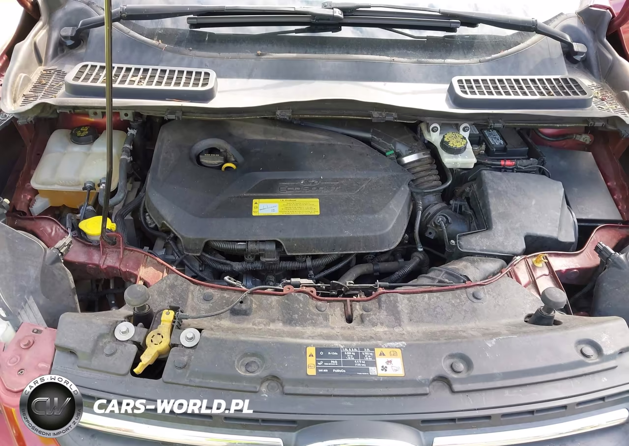 2014 Ford Escape Se VIN:1FMCU0GX3EUA43375 - 10