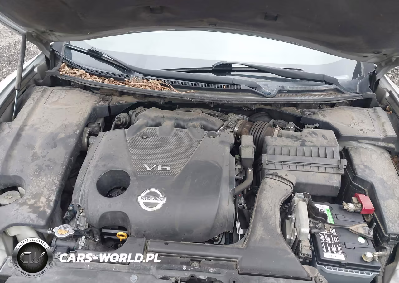 2009 Nissan Maxima 3.5 Sv VIN:1N4AA51E99C811306 - 10