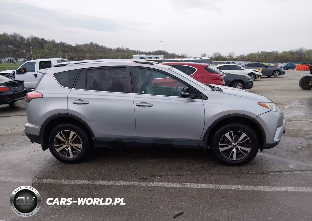 2016 Toyota Rav4 Xle VIN:2T3RFREV1GW511706 - 13