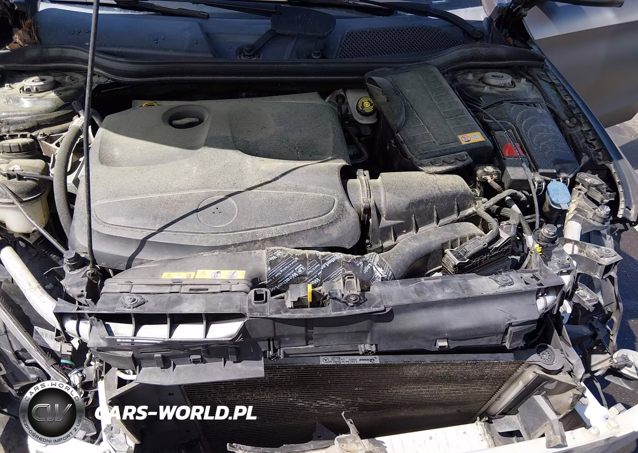 2014 Mercedes-Benz Cla 250 VIN:WDDSJ4EB2EN103606 - 10