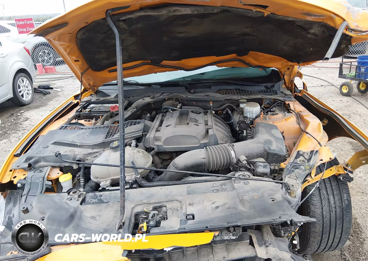 2019 Ford Mustang Ecoboost VIN:1FA6P8TH0K5118423 - 10