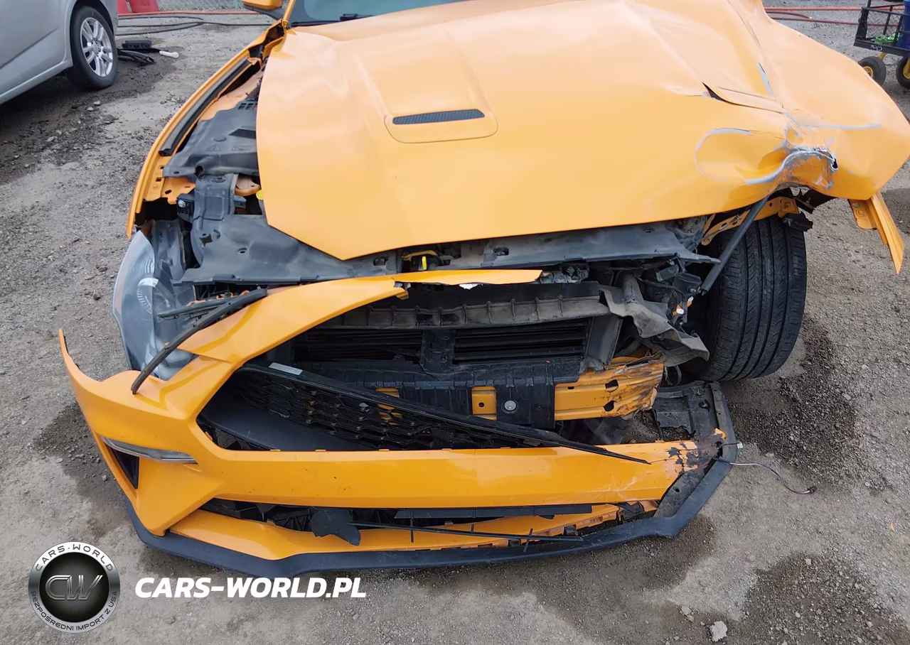 2019 Ford Mustang Ecoboost VIN:1FA6P8TH0K5118423 - 12