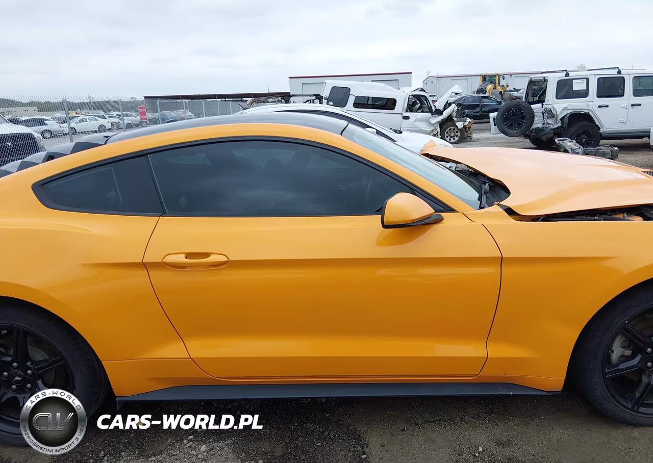 2019 Ford Mustang Ecoboost VIN:1FA6P8TH0K5118423 - 13