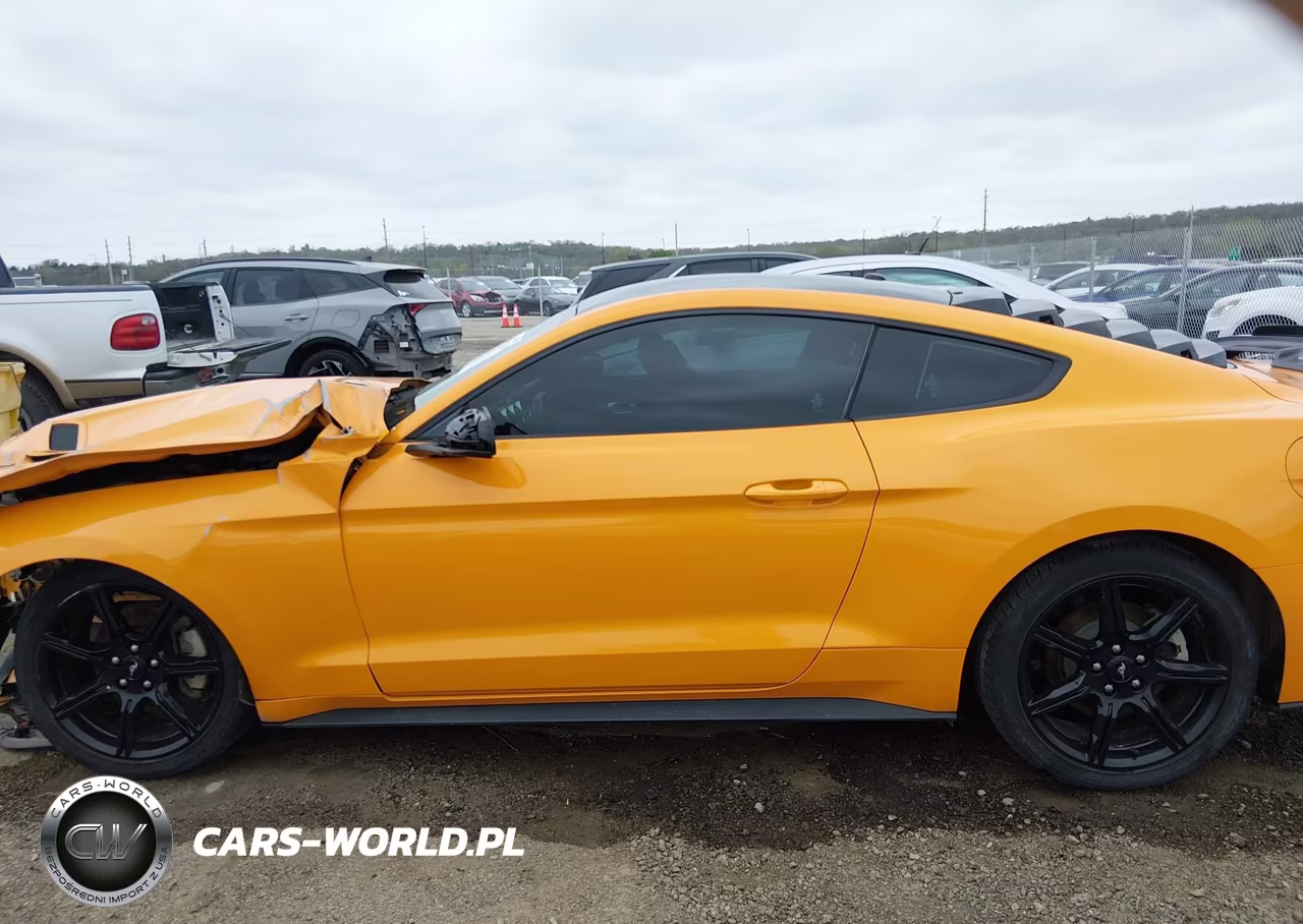 2019 Ford Mustang Ecoboost VIN:1FA6P8TH0K5118423 - 14